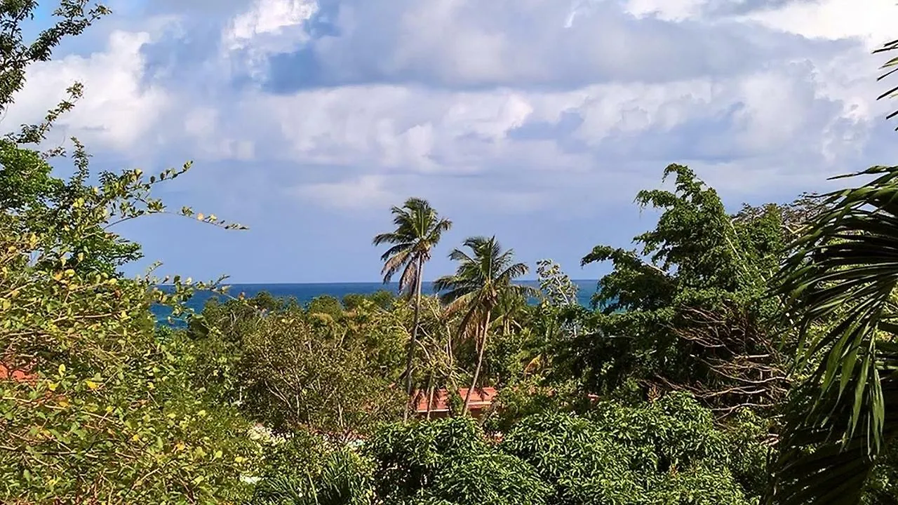 Holiday home Kaz Maracudja Villa Deshaies