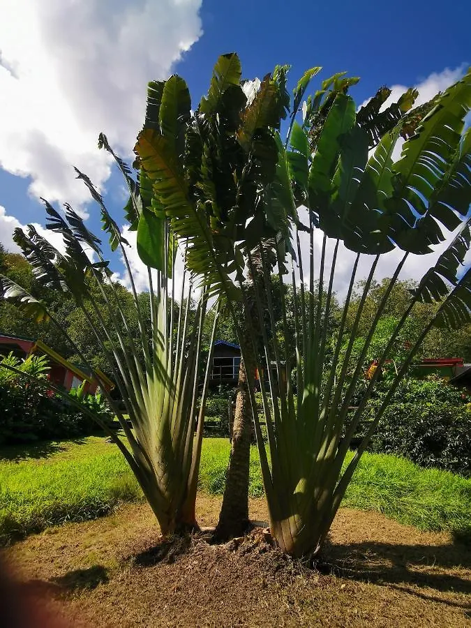 Kaz Maracudja Villa Deshaies Guadeloupe
